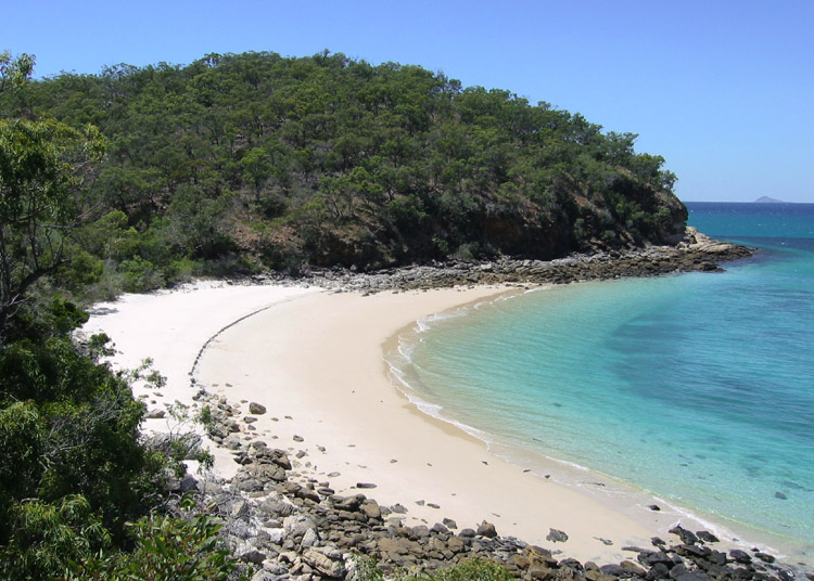 (One of Great Keppel's 17 stunning beaches)