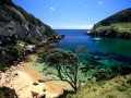 Great Barrier Island - Photo Courtesy of AucklandSphere.org